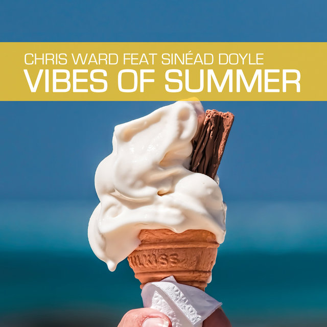 Vibes of Summer