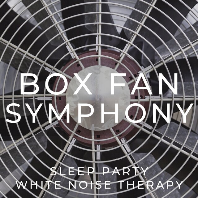 Box Fan Symphony