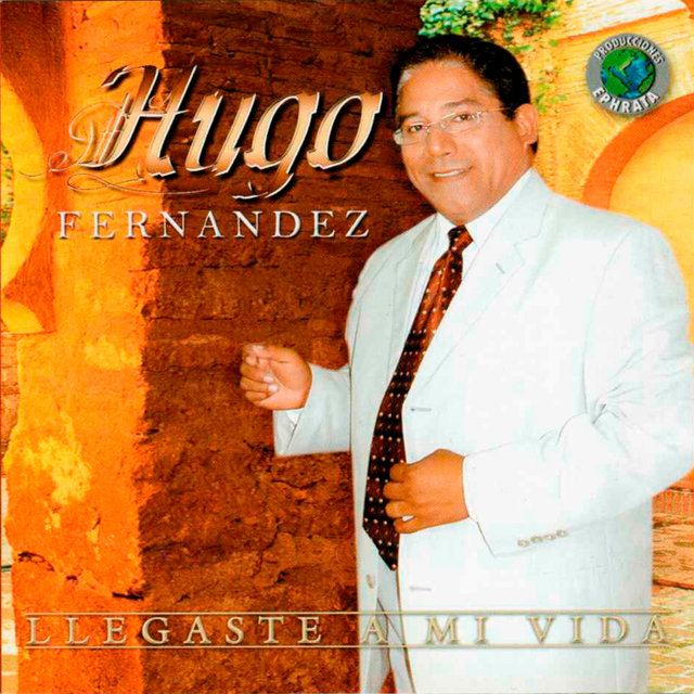 Llegaste A Mi Vida