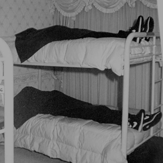 Cadaver