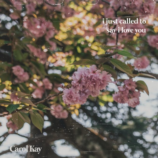 I Just Called to Say I Love You