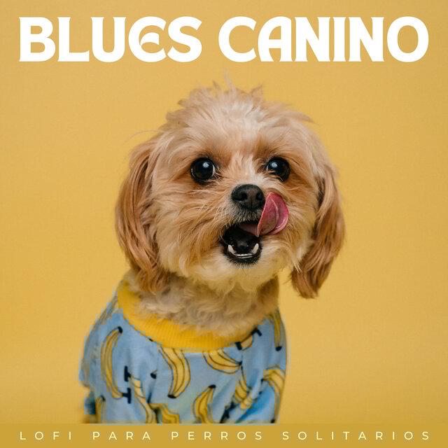 Blues Canino: Lofi Para Perros Solitarios