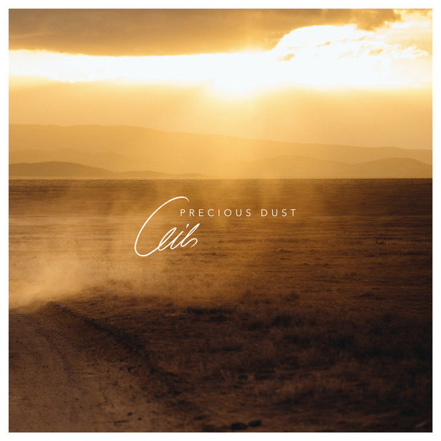 Precious Dust