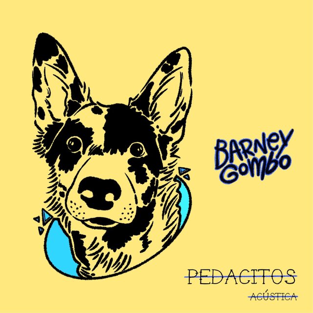 Pedacitos