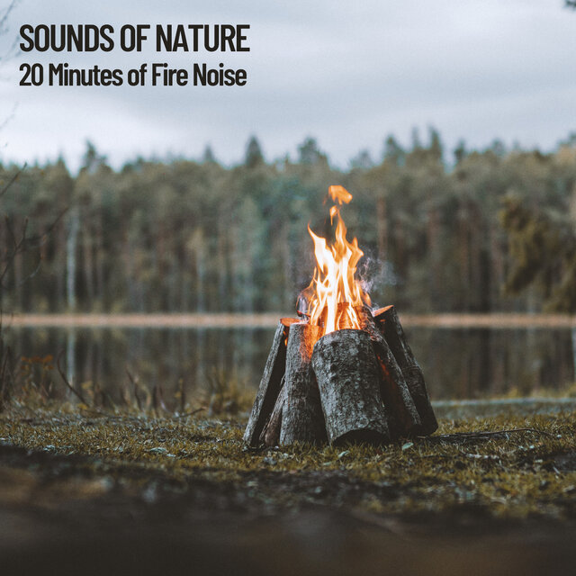 Sounds of Nature: 20 Minutes of Fire Noise
