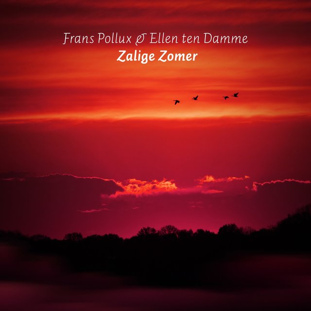 Zalige Zomer