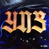 Y.N.S (feat. Young Lando)