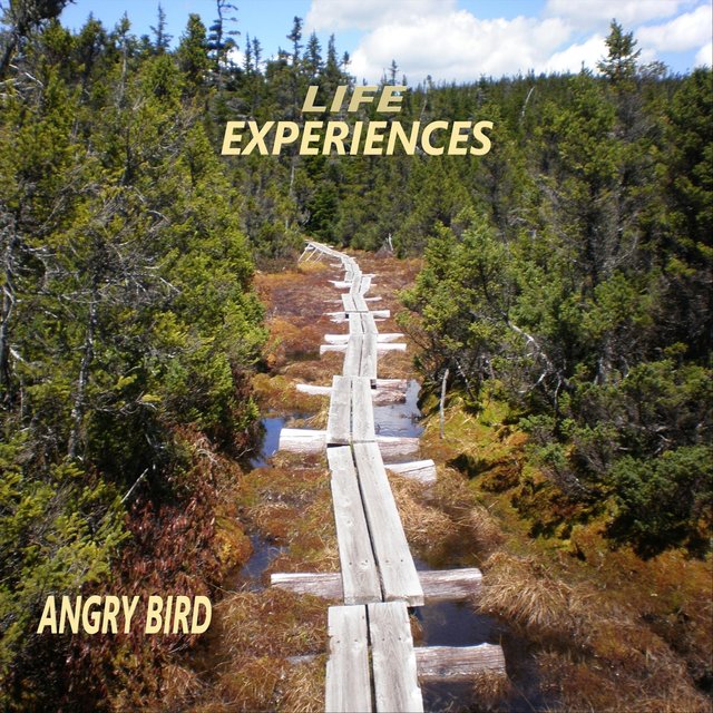 Life Experiences