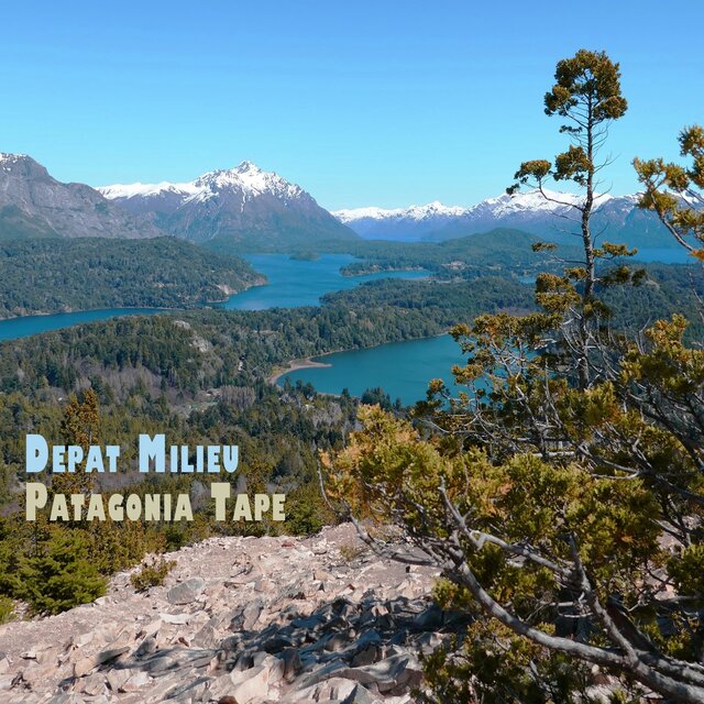 Patagonia Tape