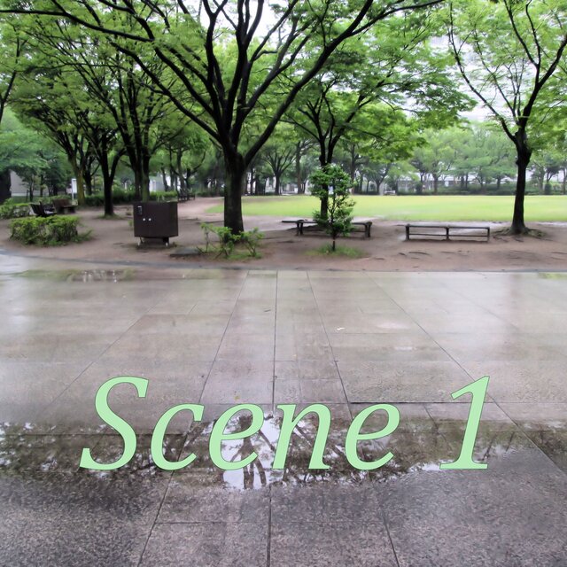 Scene, Vol.1