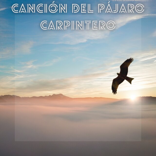 Canción del Pájaro Carpintero