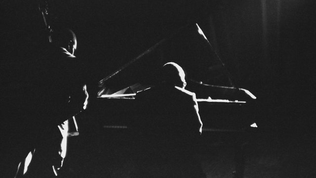 Unraveling the Mystery of The Complete Concert by the Sea (Digital Video)