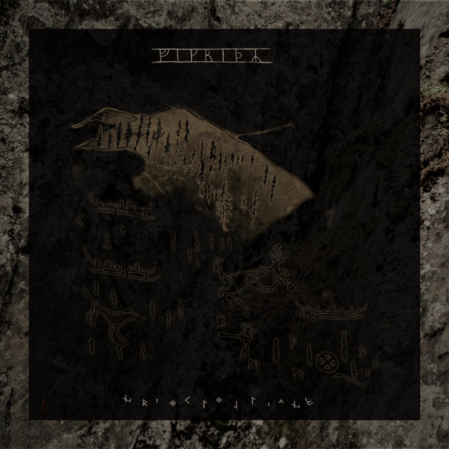 Vigridr