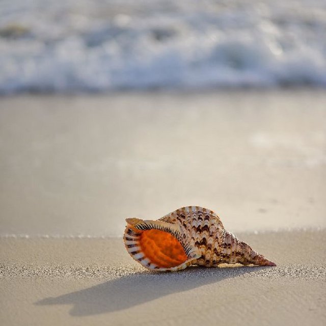 Footprints In The Sand