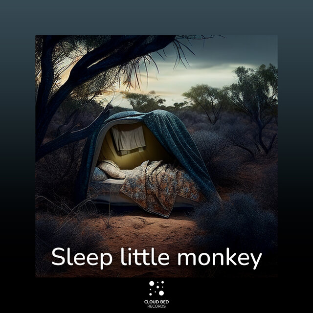 Sleep little monkey