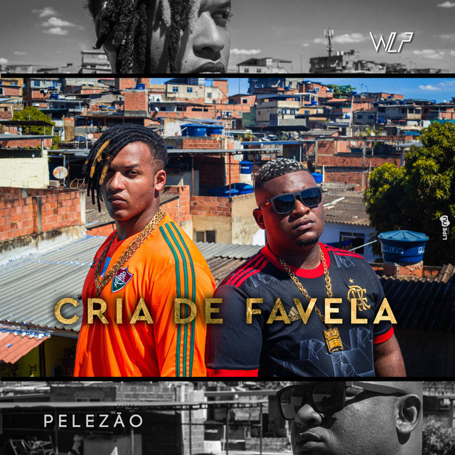 Cria de Favela