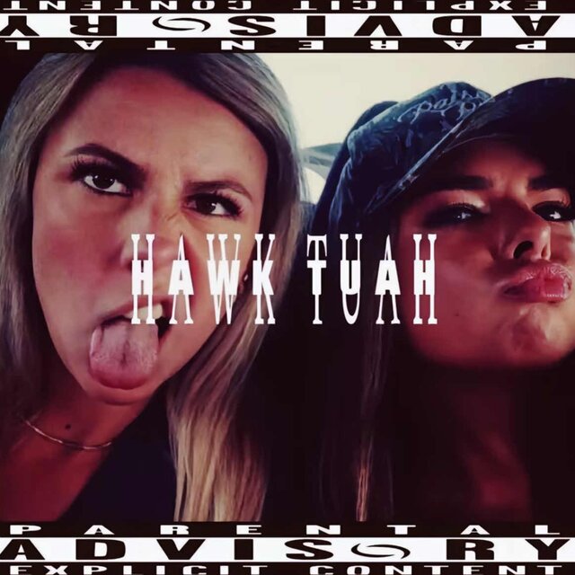 Hawk Tuah!!