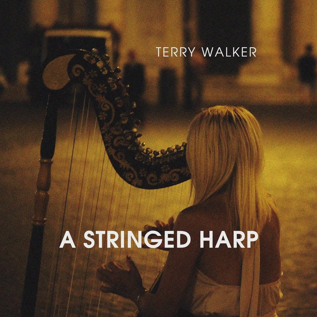 a Stringed Harp