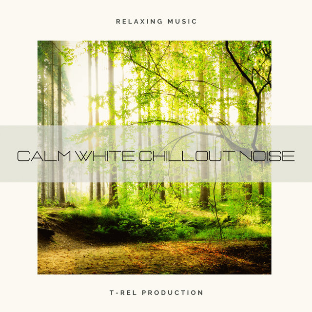 Calm White Chillout Noise