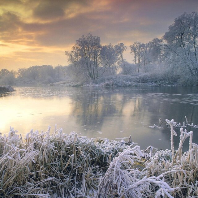 Tropic Winter