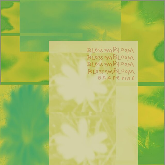 blossomBLOOM