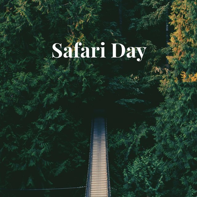Safari Day