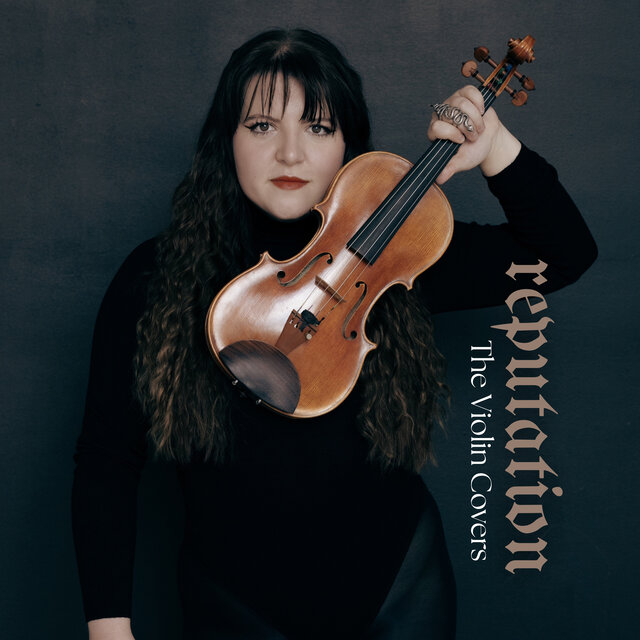 reputation (The Violin Covers)