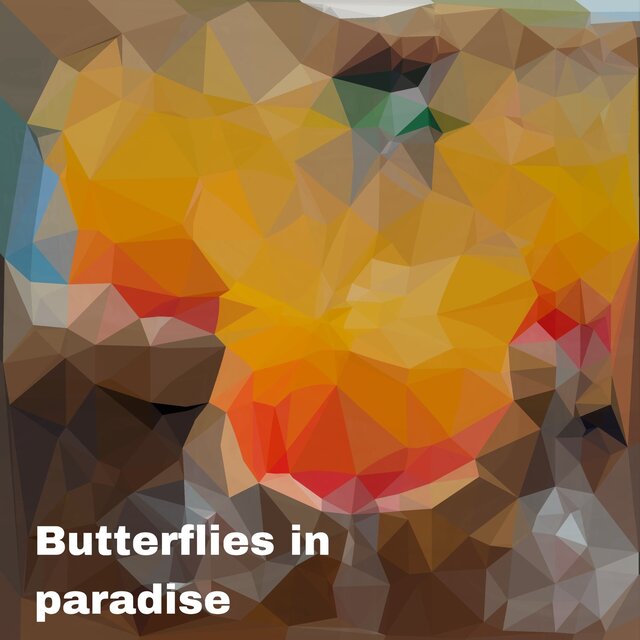 Butterflies in Paradise