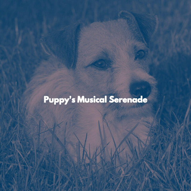Puppy's Musical Serenade