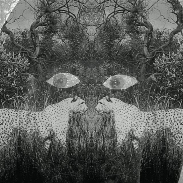 Soutu