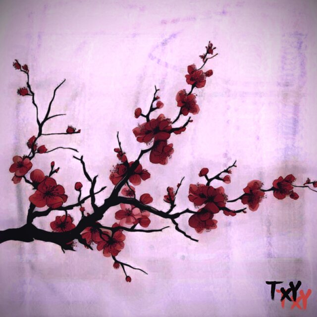 Cherry Blossom