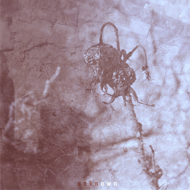 Unknown