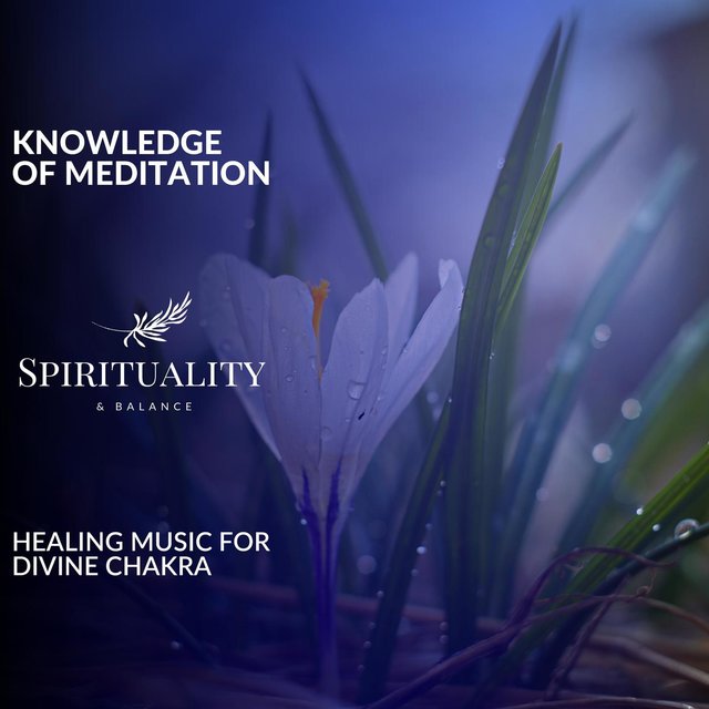 Knowledge Of Meditation - Healing Music For Divine Chakra