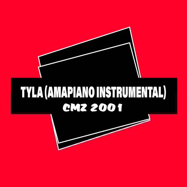 Tyla (Amapiano Instrumental)