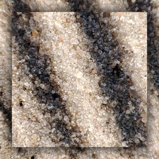 Honor Thy Sand