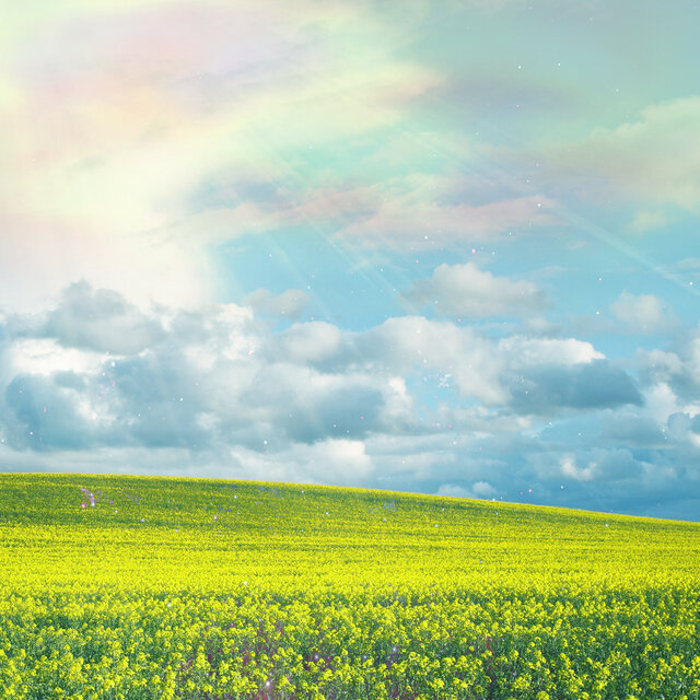 Scenery