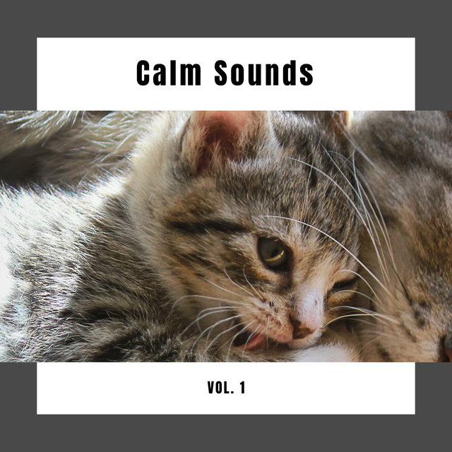 4 Cats: Calm Sounds Vol. 1