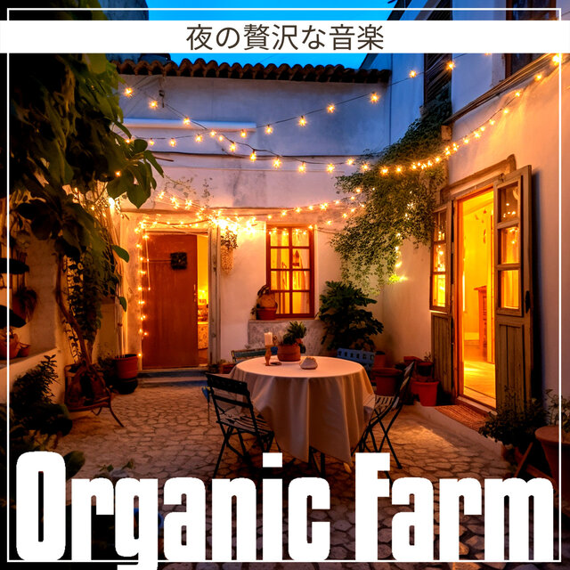 夜の贅沢な音楽