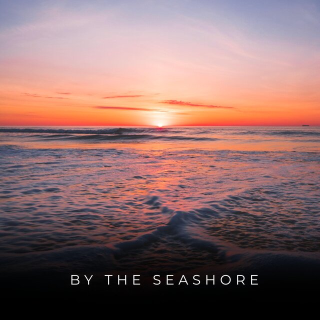 By The Seashore