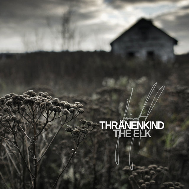 Cover art for album The Elk by Thränenkind