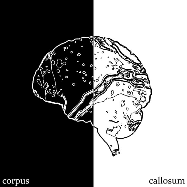 Corpus Callosum