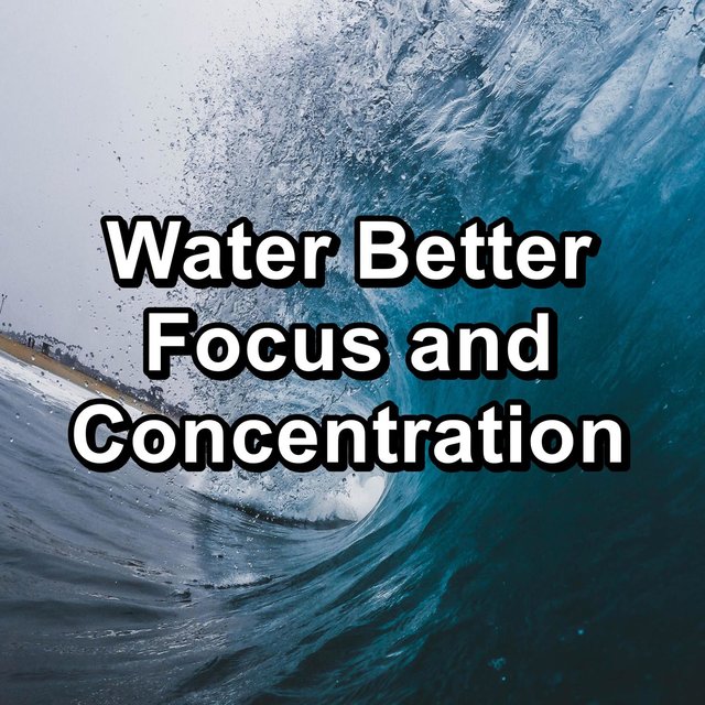 Water Better Focus and Concentration