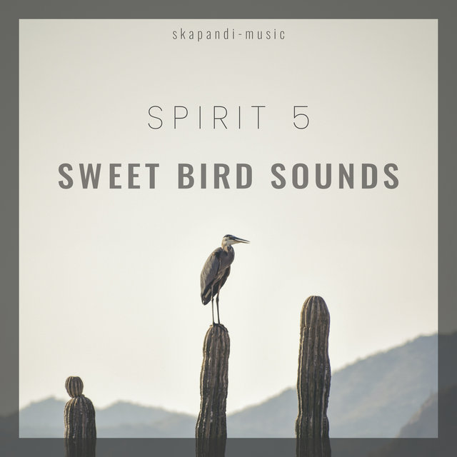 Sweet Bird Sounds