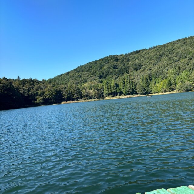 Paradise