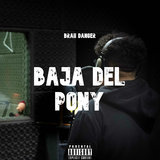 Baja del Pony