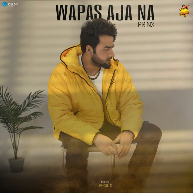Wapas Aja Na