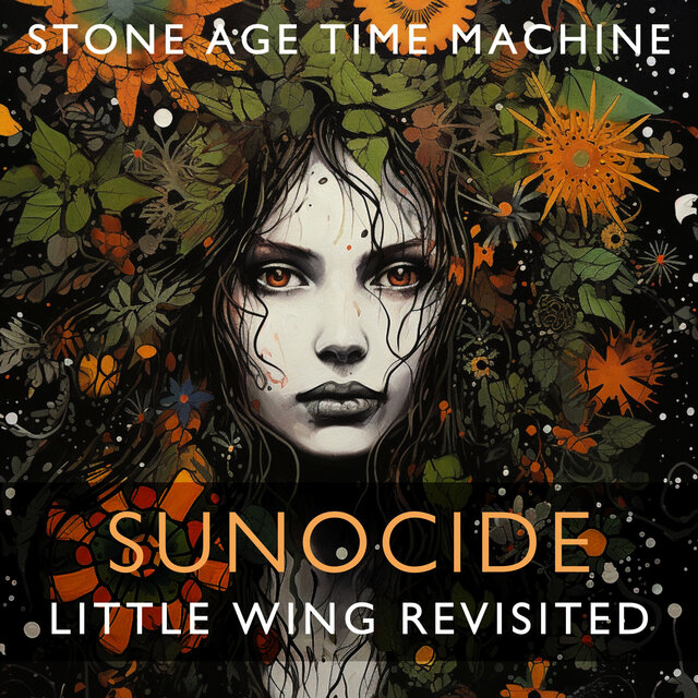 Sunocide: Little Wing Revisited