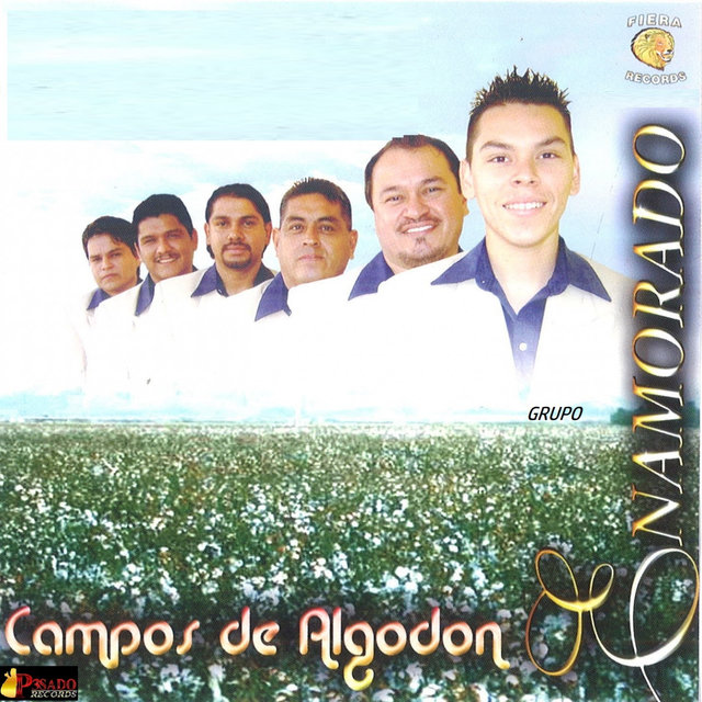 Campos De Algodon
