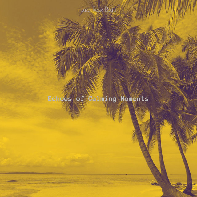 Echoes of Calming Moments
