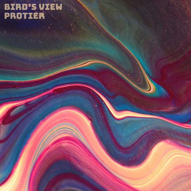 Bird's View